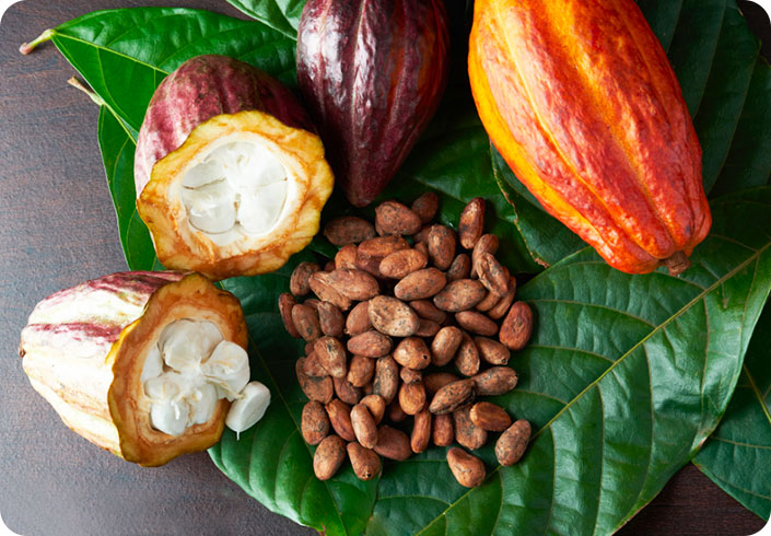 Health Benefits of Bulk Cocoa Wholesale